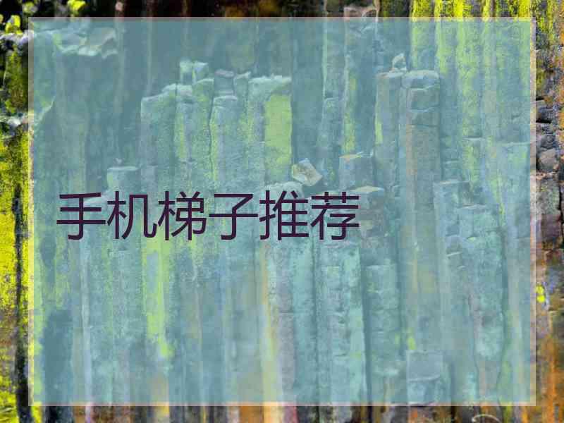 手机梯子推荐
