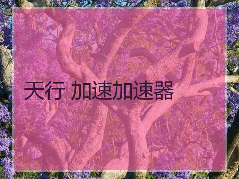 天行 加速加速器