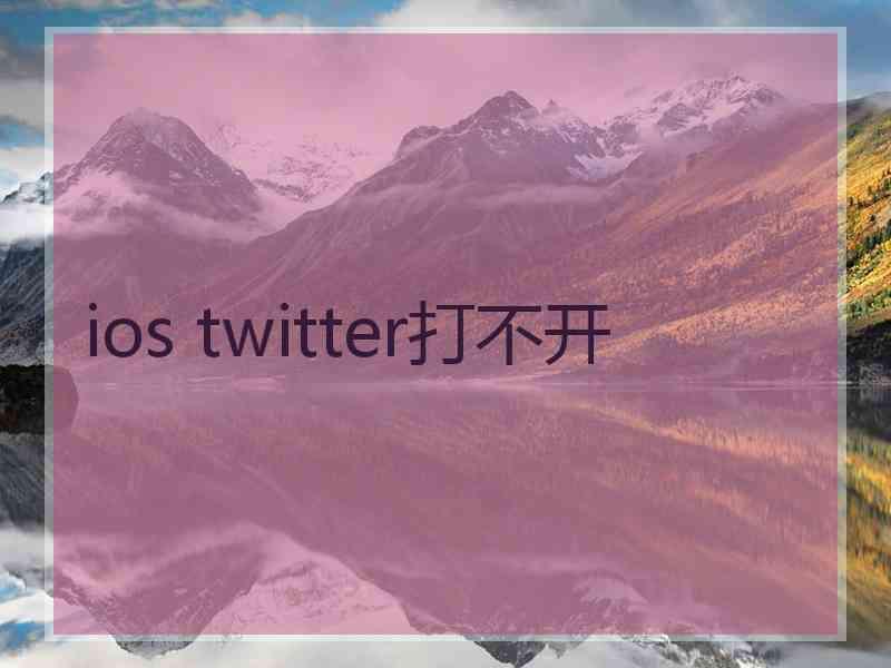 ios twitter打不开