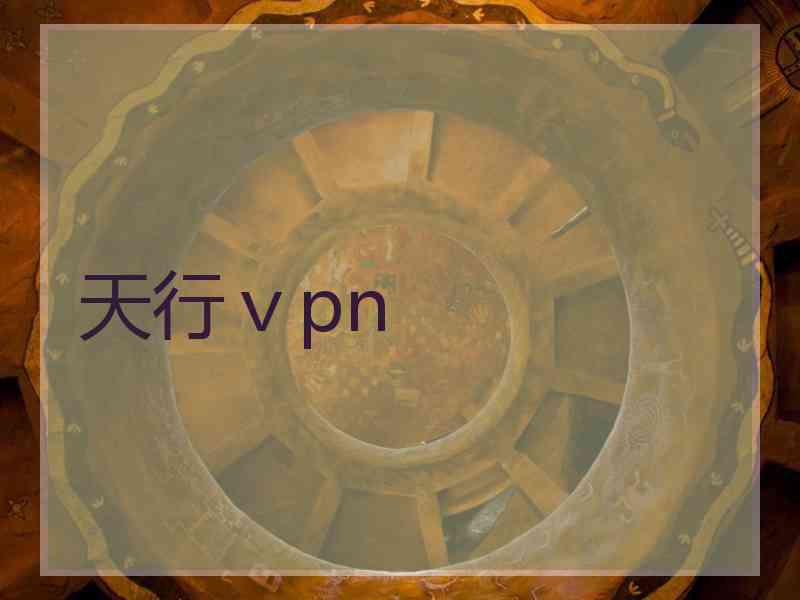 天行ⅴpn