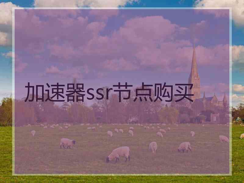 加速器ssr节点购买
