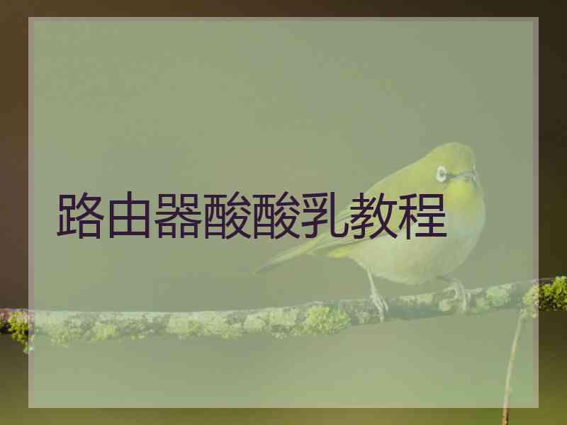 路由器酸酸乳教程
