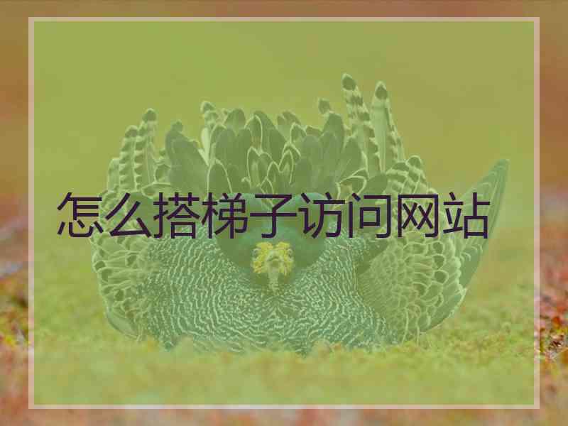 怎么搭梯子访问网站