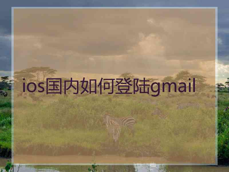 ios国内如何登陆gmail