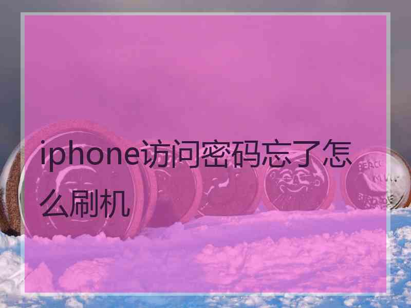 iphone访问密码忘了怎么刷机