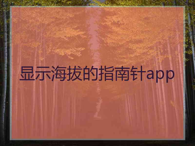 显示海拔的指南针app