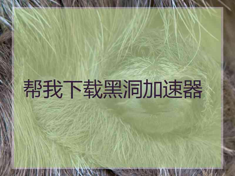 帮我下载黑洞加速器