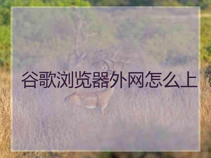 谷歌浏览器外网怎么上