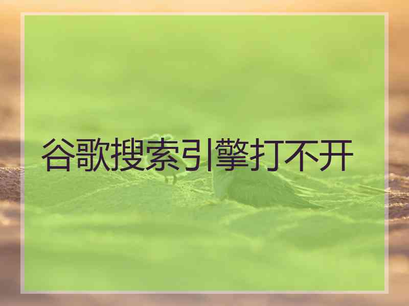 谷歌搜索引擎打不开