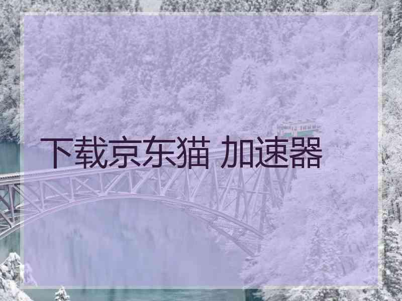 下载京东猫 加速器
