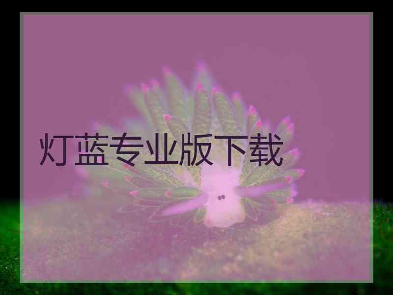 灯蓝专业版下载