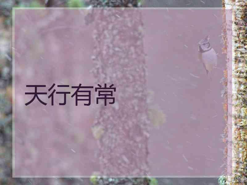 天行有常