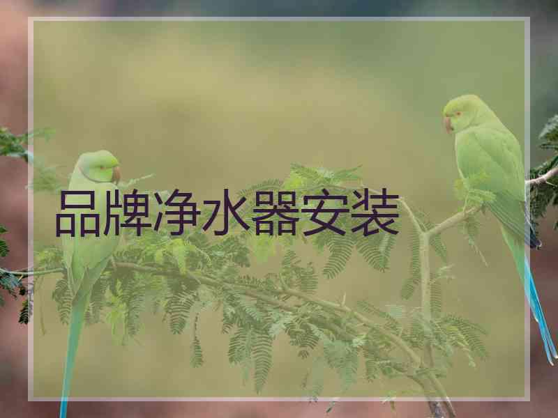品牌净水器安装