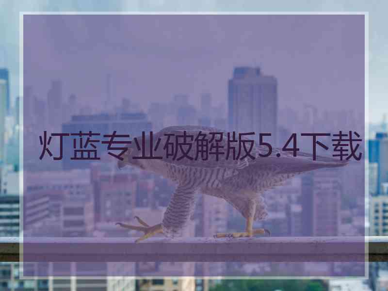 灯蓝专业破解版5.4下载