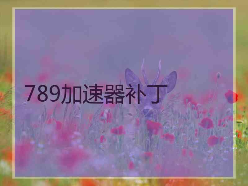 789加速器补丁
