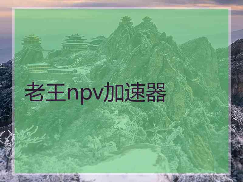 老王npv加速器