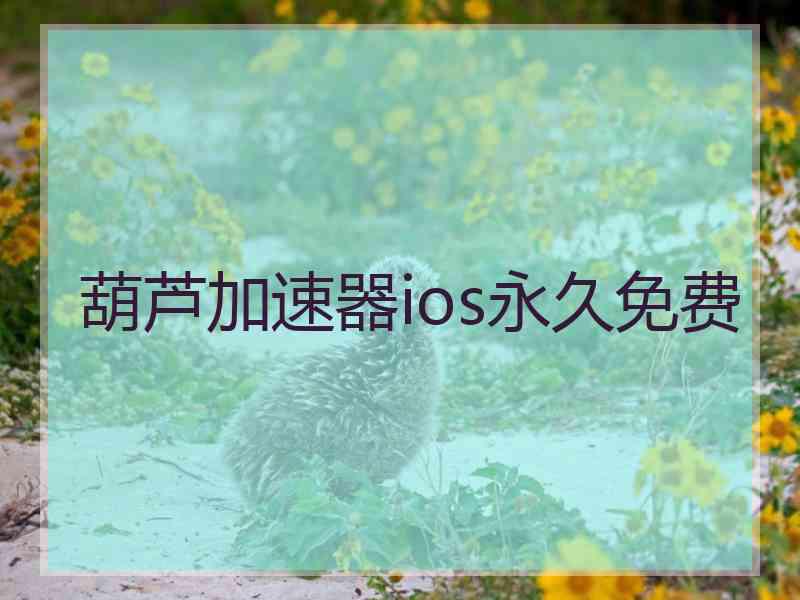 葫芦加速器ios永久免费