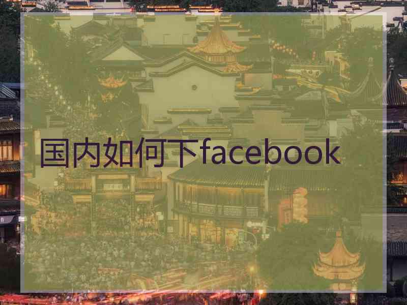 国内如何下facebook