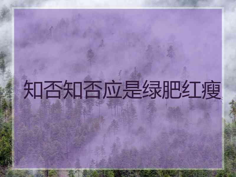 知否知否应是绿肥红瘦