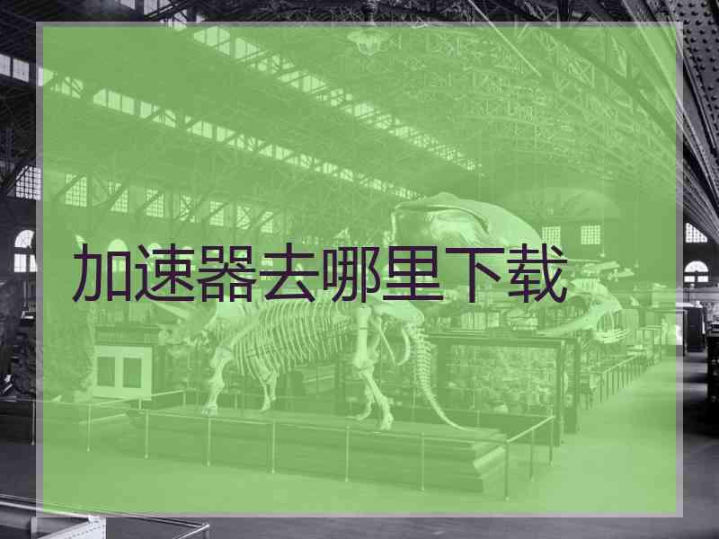 加速器去哪里下载