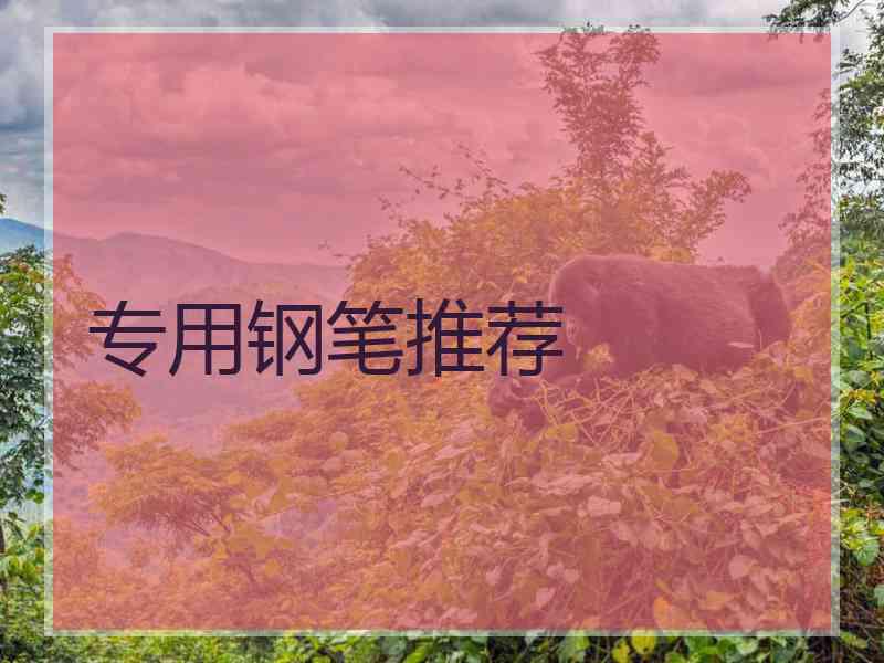 专用钢笔推荐