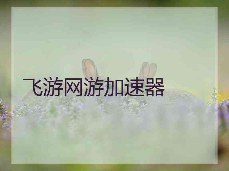 飞游网游加速器
