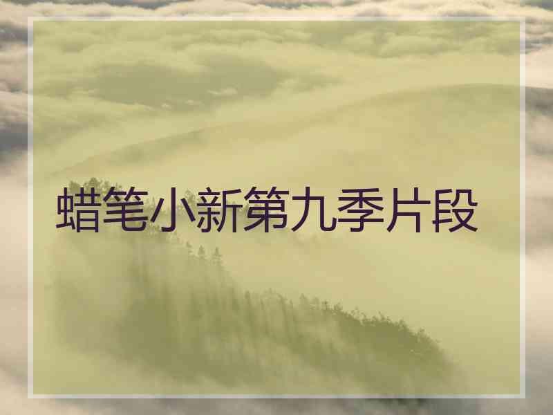 蜡笔小新第九季片段