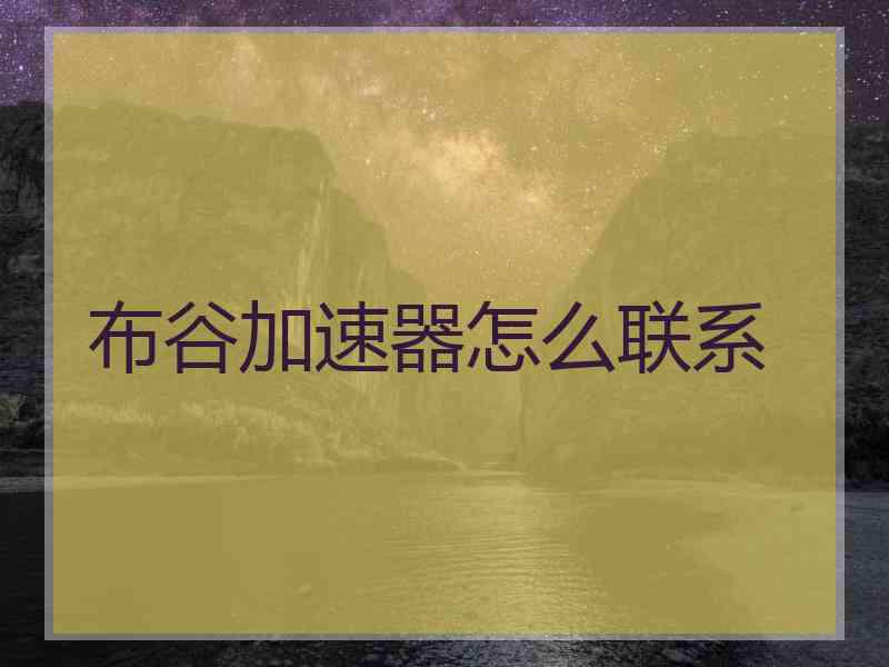 布谷加速器怎么联系