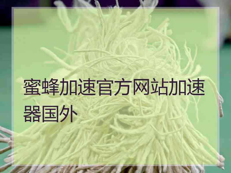 蜜蜂加速官方网站加速器国外