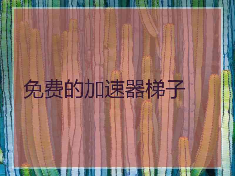 免费的加速器梯子