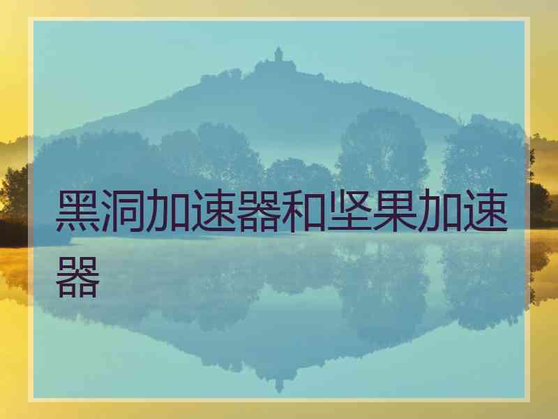 黑洞加速器和坚果加速器