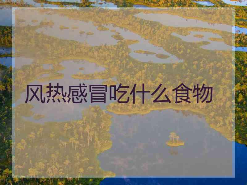 风热感冒吃什么食物