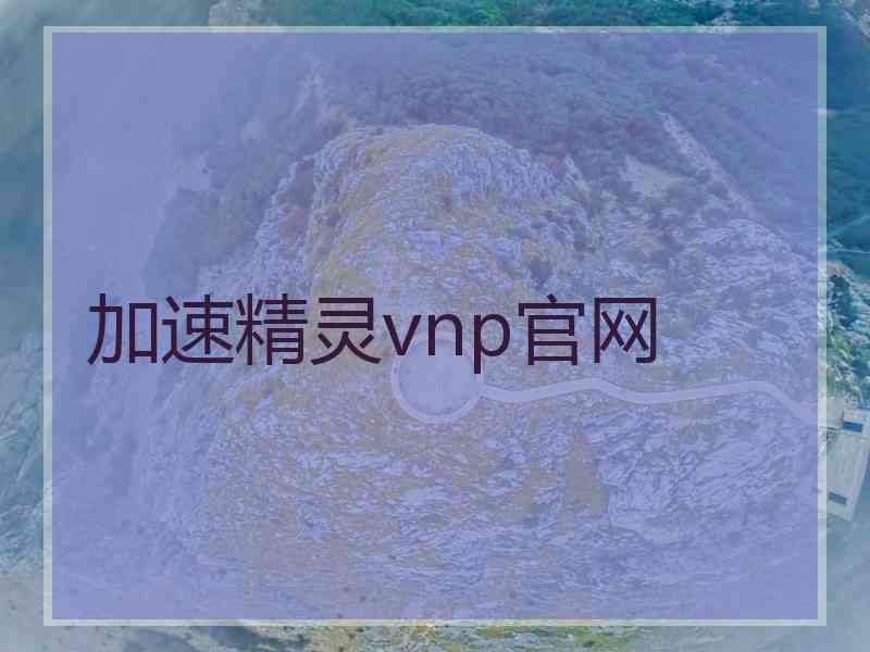 加速精灵vnp官网