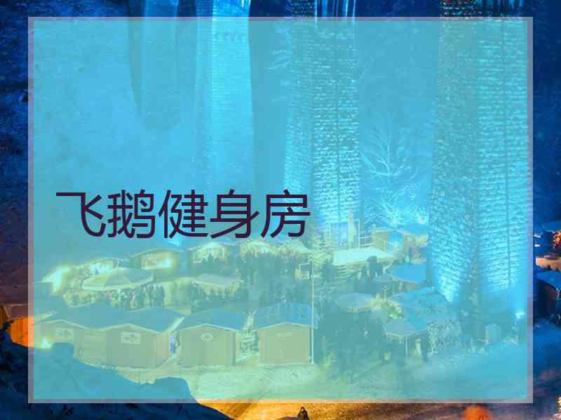 飞鹅健身房