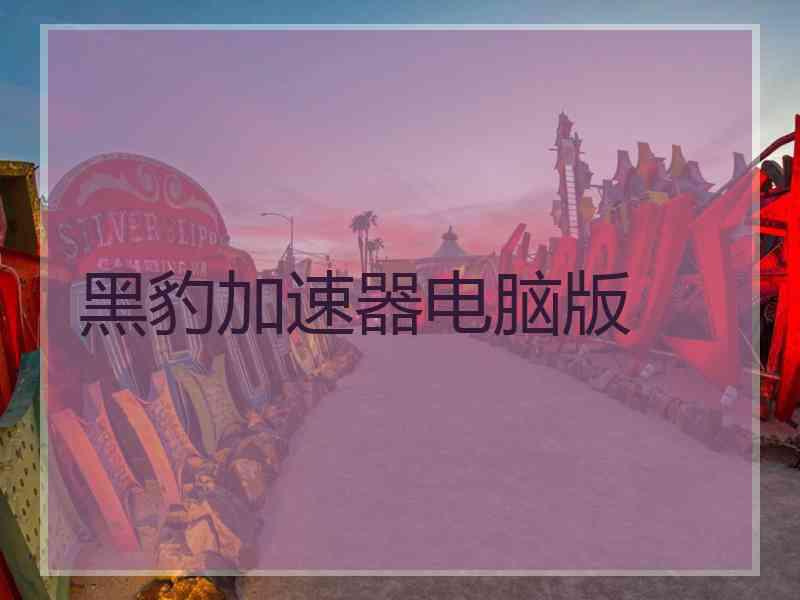 黑豹加速器电脑版