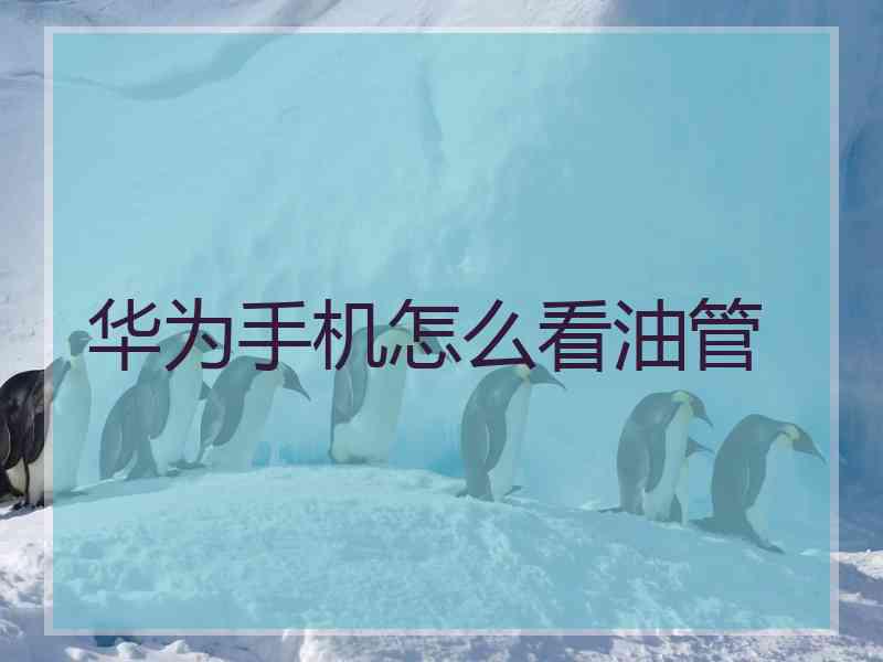 华为手机怎么看油管
