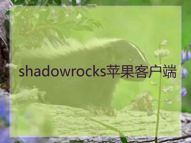 shadowrocks苹果客户端