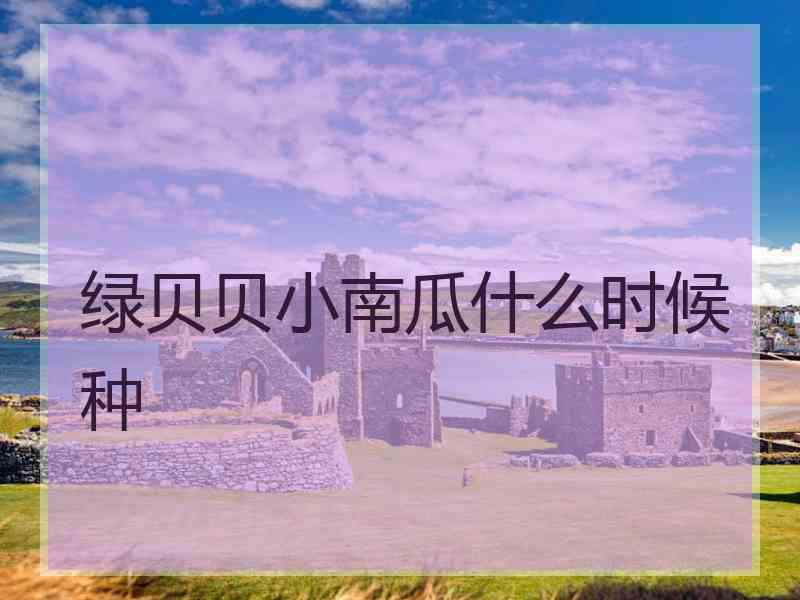 绿贝贝小南瓜什么时候种