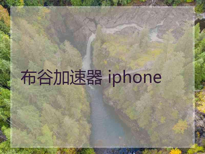 布谷加速器 iphone
