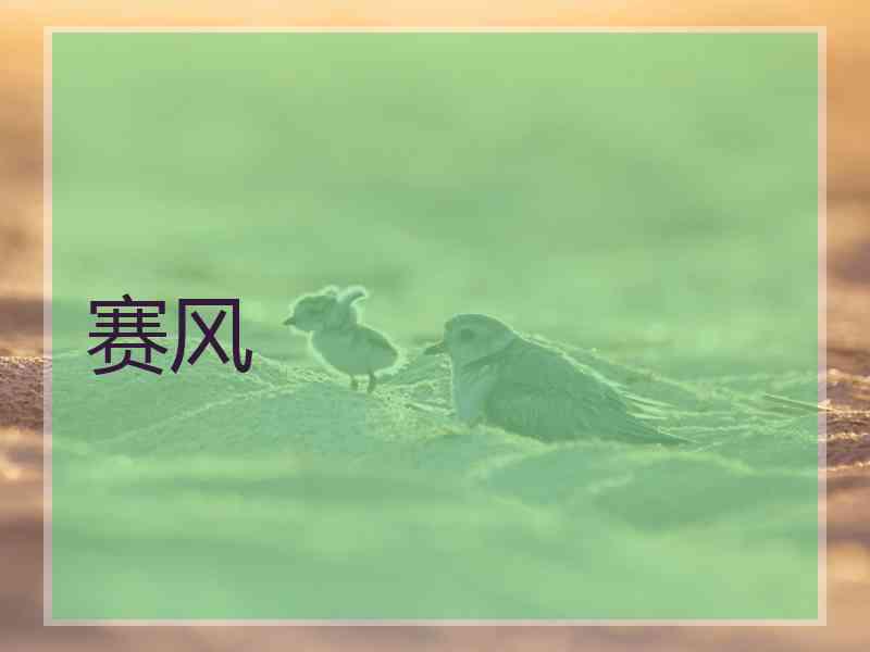赛风