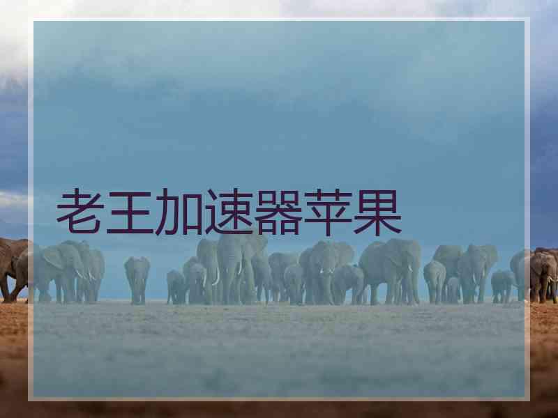 老王加速器苹果