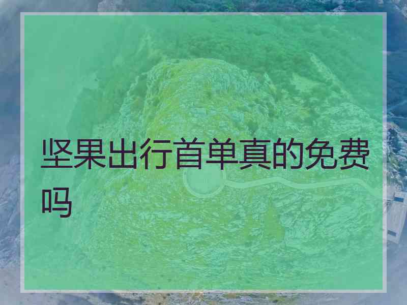 坚果出行首单真的免费吗
