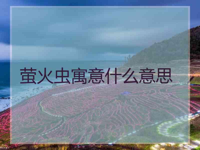 萤火虫寓意什么意思