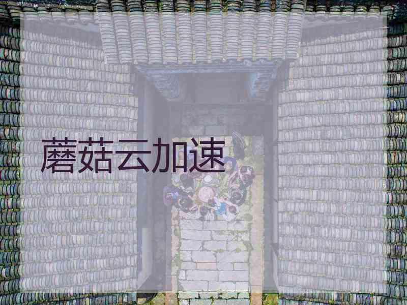 蘑菇云加速
