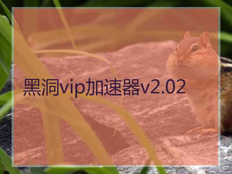 黑洞vip加速器v2.02