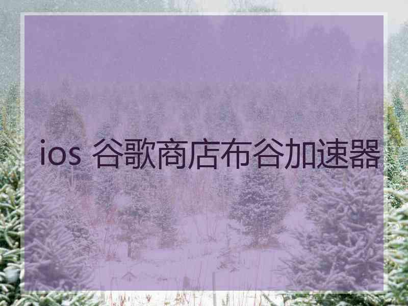 ios 谷歌商店布谷加速器