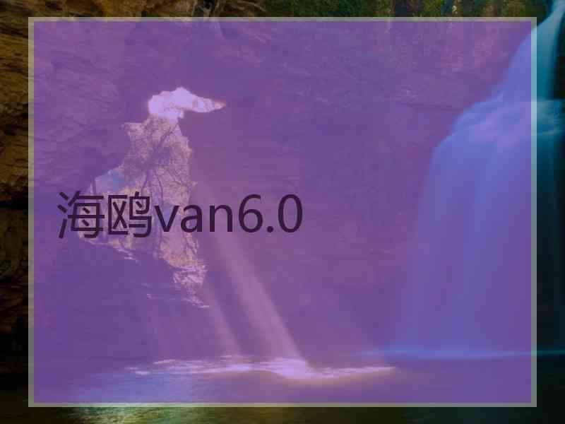 海鸥van6.0
