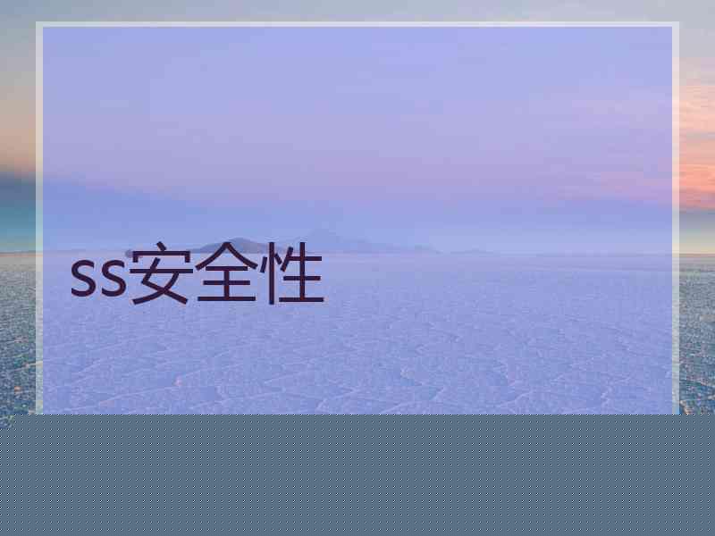 ss安全性