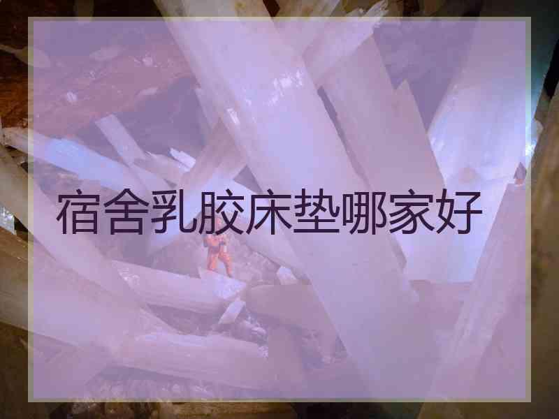 宿舍乳胶床垫哪家好