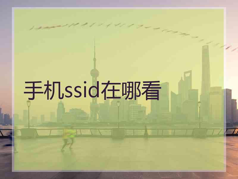 手机ssid在哪看